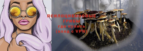 прущие крисы Куйбышев