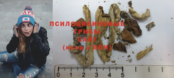 PSILOCYBIN Лагань