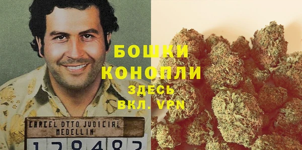 PSILOCYBIN Лагань