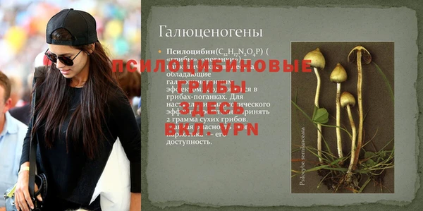 PSILOCYBIN Лагань