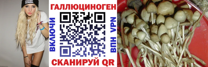 Купить где Окуловка Псилоцибиновые грибы GOLDEN TEACHER